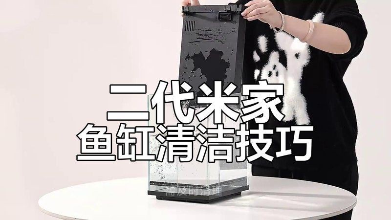 紹興魚缸維護【紹興魚缸系統(tǒng)化維護】