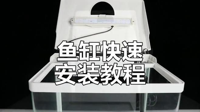 家用小魚缸怎么安裝【《家用小魚缸怎么安裝》芊芊極客姬魚缸安裝全攻略】