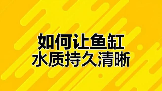魚缸的水質如何保持清潔？【《魚缸的水質如何保持清潔》維持魚缸水質清潔是保障魚兒健康生活關鍵】