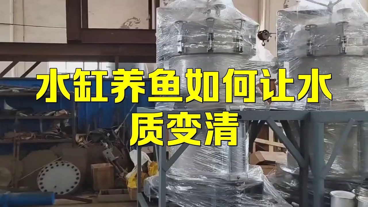 魚缸的水質如何保持清潔？【《魚缸的水質如何保持清潔》維持魚缸水質清潔是保障魚兒健康生活關鍵】