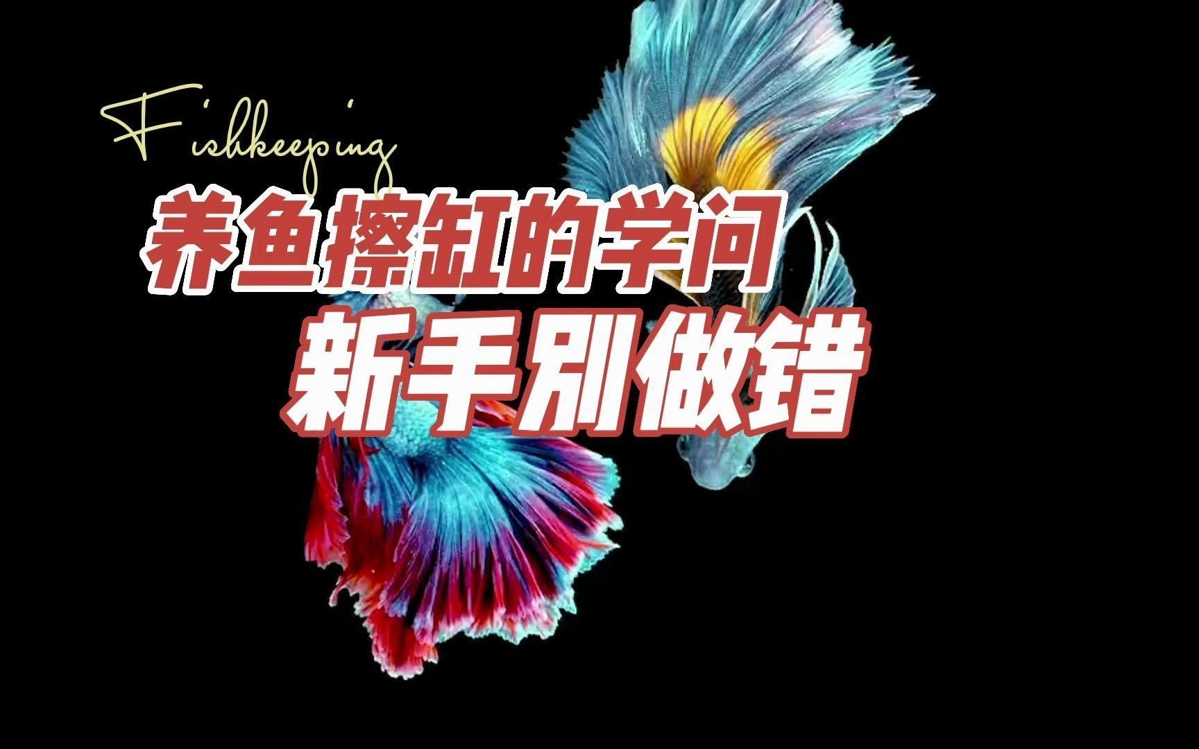 如何判斷魚缸是否需要手動清理？【如何判斷魚缸是否需要手動清理】