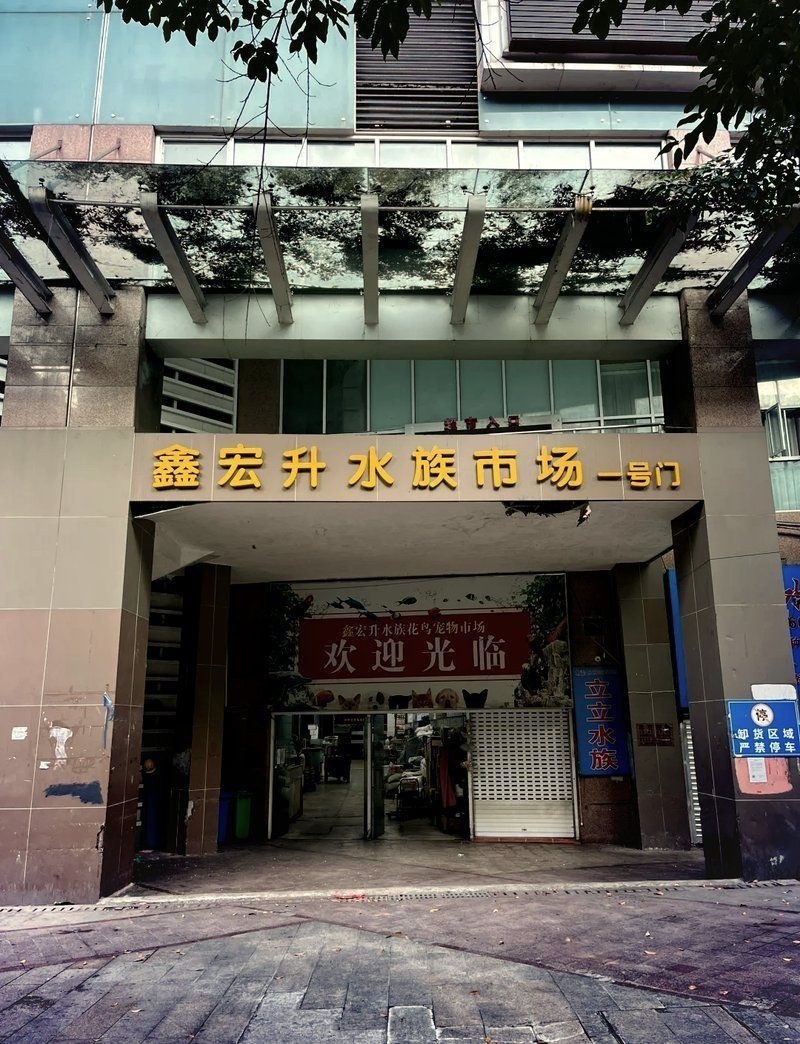 重慶水族批發市場【重慶水族批發市場:創業加盟的黃金機會與專業攻略!】 重慶水族批發市場【重慶水族批發市場:創業加盟的黃金機會與專業攻略!】 全國水族館企業名錄 第3張