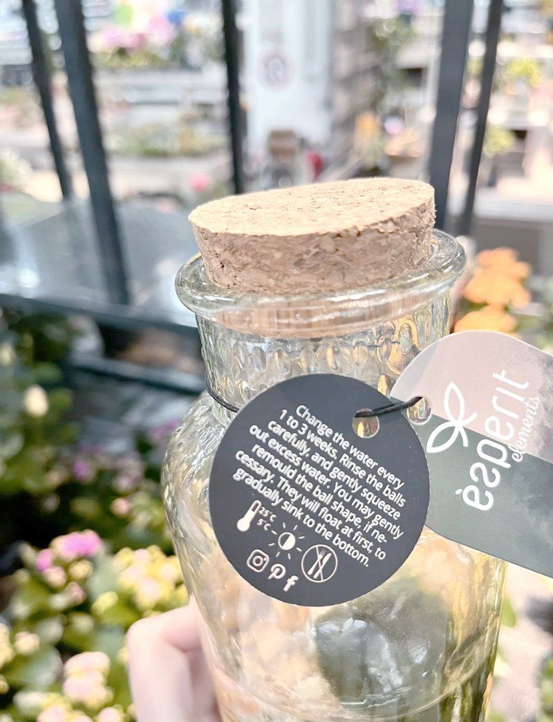 印度尼西亞紅龍魚價(jià)格 馬拉莫魚的壽命是多少【馬拉莫魚的壽命】 龍魚百科 馬拉莫魚的壽命是多少【馬拉莫魚的壽命】 馬拉莫魚的壽命是多少【馬拉莫魚的壽命】 龍魚百科