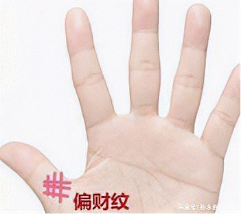 真正的龍眼紋【龍眼紋手相學解析龍眼紋與人體微觀命運的手相特征】