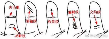 真正的龍眼紋【龍眼紋手相學解析龍眼紋與人體微觀命運的手相特征】