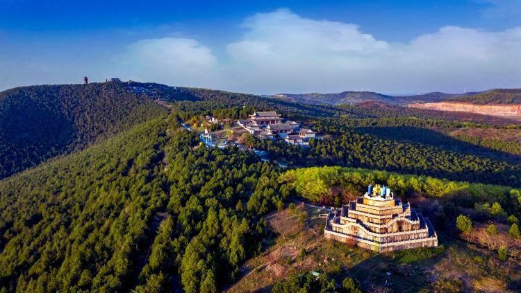 八公山龍魚店【八公山龍魚店的具體地址如何判斷龍魚品種的優劣】 八公山龍魚店【八公山龍魚店的具體地址如何判斷龍魚品種的優劣】 全國水族館企業名錄 第1張