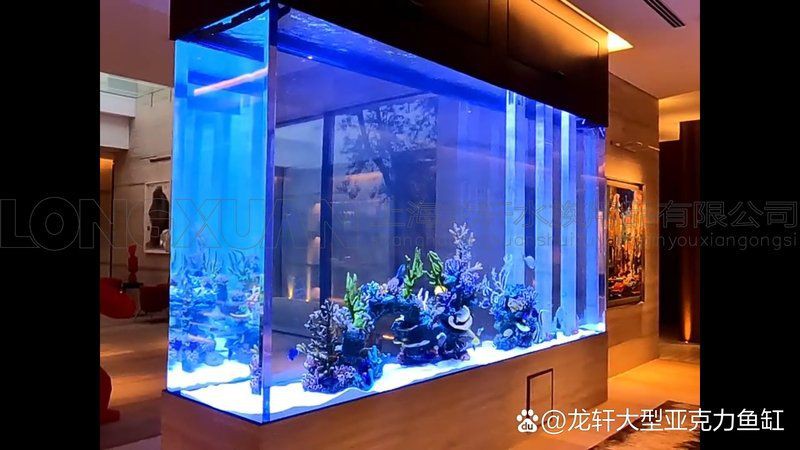 大同魚缸定做【大同市區魚缸定做】 全國水族館企業名錄 第4張 大同魚缸定做【大同市區魚缸定做】 大同魚缸定做【大同市區魚缸定做】 全國水族館企業名錄 第4張