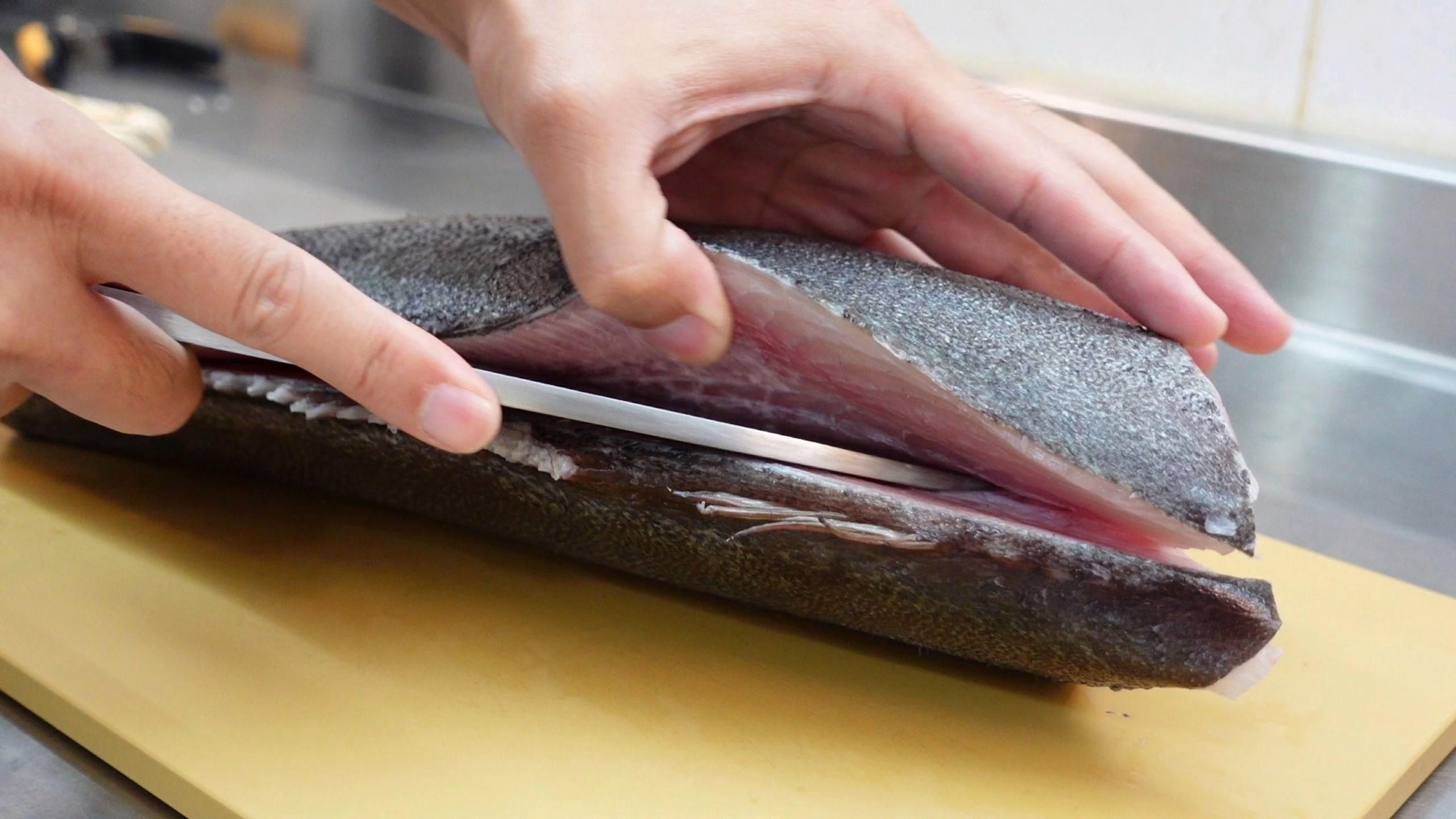 拉倫魚有哪些烹飪方法?【嗶哩嗶哩海魚拉倫最簡單做法】 龍魚百科 第4張 拉倫魚有哪些烹飪方法?【嗶哩嗶哩海魚拉倫最簡單做法】 拉倫魚有哪些烹飪方法?【嗶哩嗶哩海魚拉倫最簡單做法】 龍魚百科 第4張