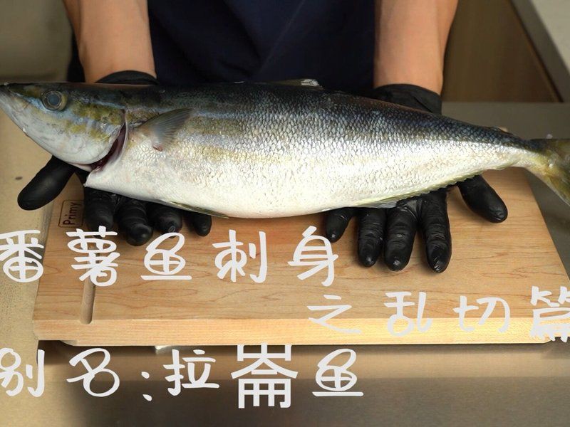 拉倫魚有哪些烹飪方法?【嗶哩嗶哩海魚拉倫最簡單做法】 龍魚百科 第2張 拉倫魚有哪些烹飪方法?【嗶哩嗶哩海魚拉倫最簡單做法】 拉倫魚有哪些烹飪方法?【嗶哩嗶哩海魚拉倫最簡單做法】 龍魚百科 第2張