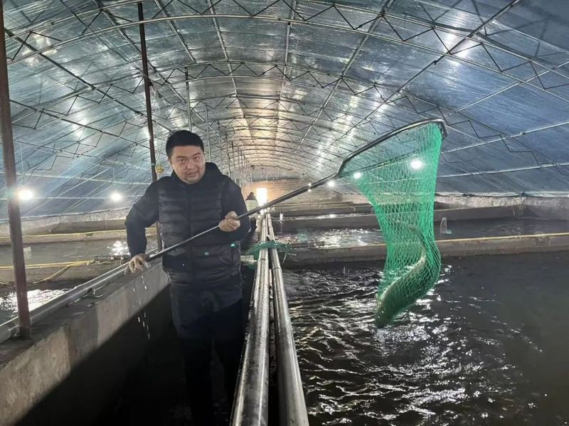 五蓮龍魚店【五蓮縣淡水三文魚上市產銷兩旺新浪·財經頭條】