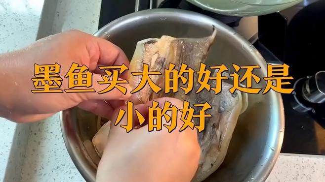 買墨魚大的好還是小的好【《買墨魚大的好還是小的好》】 買墨魚大的好還是小的好【《買墨魚大的好還是小的好》】 龍魚百科 第2張