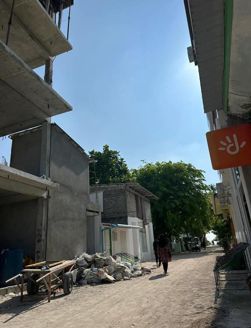 馬爾代夫鰩魚最害怕三個東西【馬爾代夫有哪些可以喂魔鬼魚的島嶼】