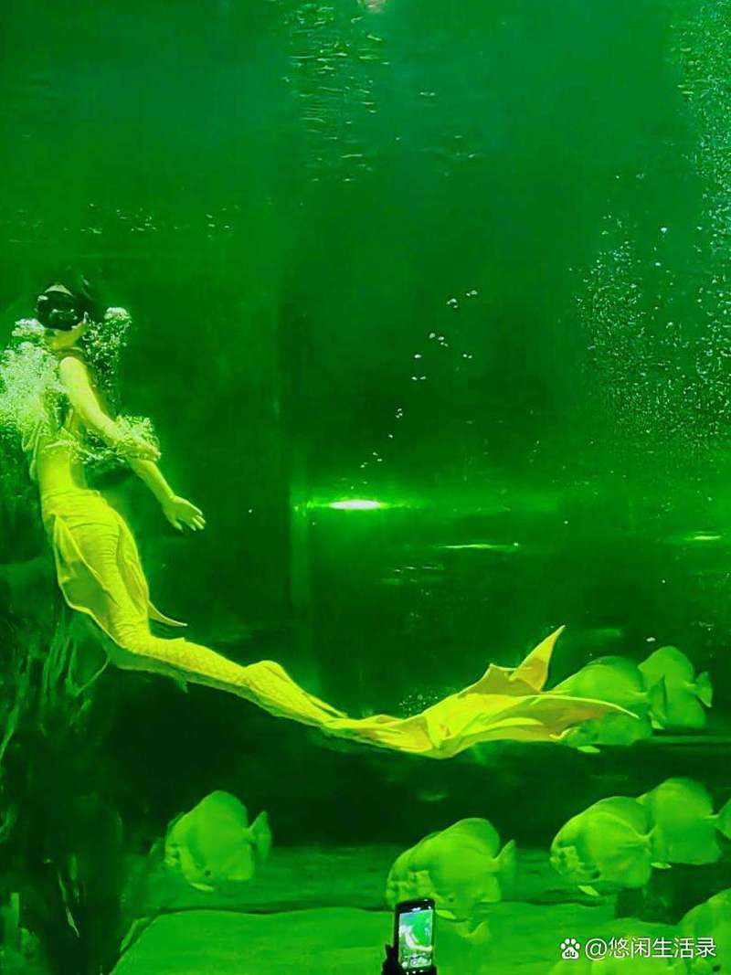 懷化水族店【懷化水族店哪家口碑最好】 懷化水族店【懷化水族店哪家口碑最好】 全國水族館企業名錄 第1張