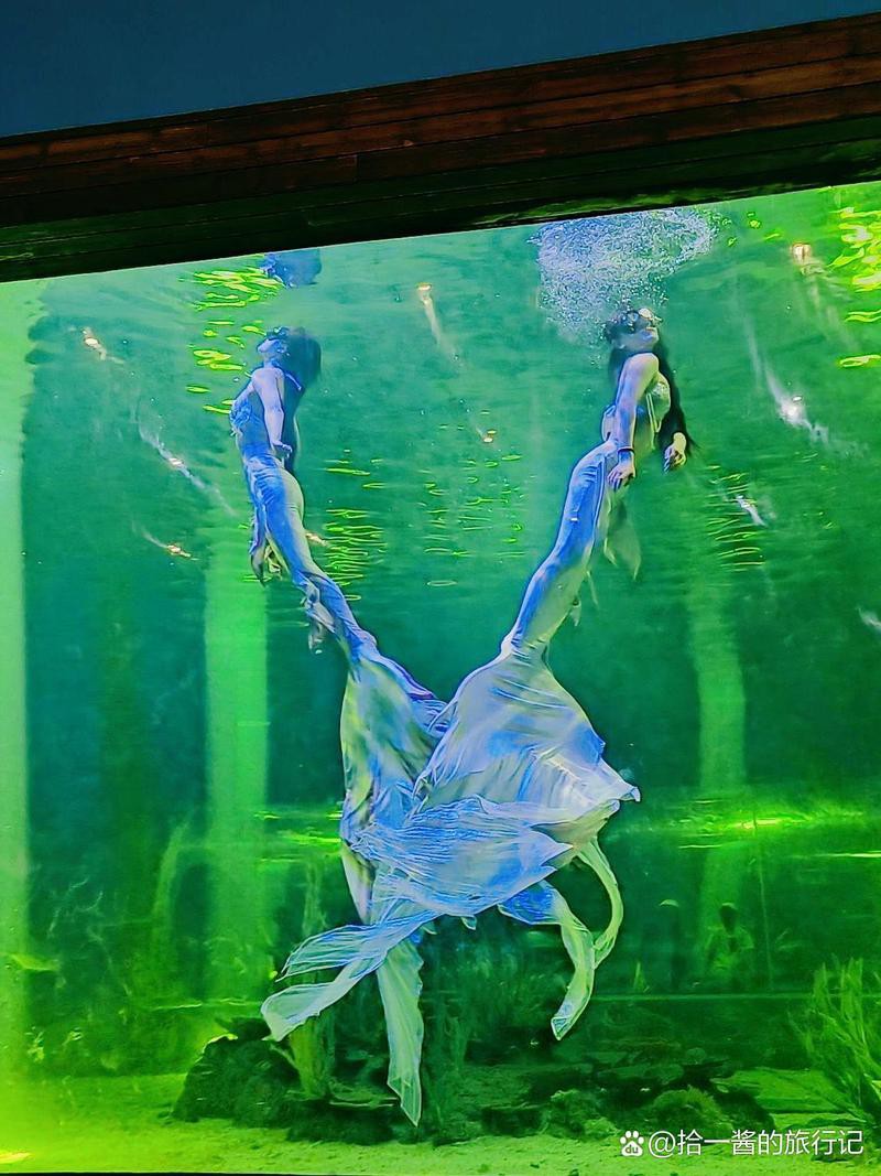 懷化水族店【懷化水族店哪家口碑最好】 懷化水族店【懷化水族店哪家口碑最好】 全國水族館企業名錄 第3張