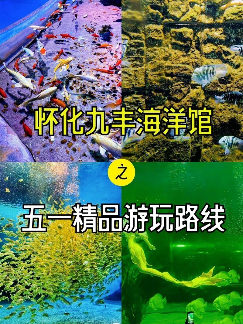 懷化水族店【懷化水族店哪家口碑最好】 懷化水族店【懷化水族店哪家口碑最好】 全國水族館企業名錄 第5張