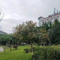 魚和龍在一起的寓意【《魚和龍在一起的寓意》】 魚和龍在一起的寓意【《魚和龍在一起的寓意》】 龍魚百科 第25張