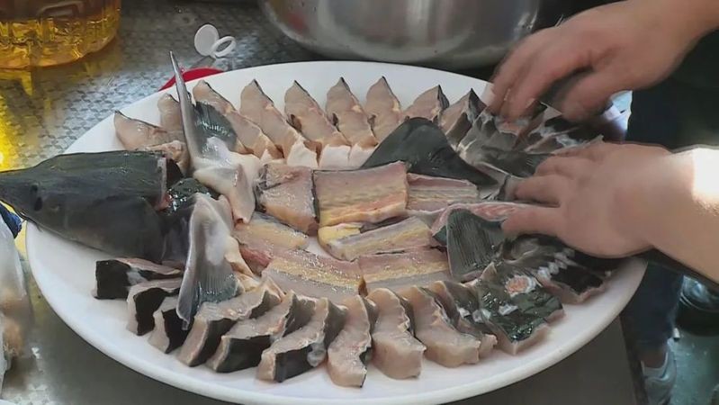 云縣龍魚店，云縣愛華光龍魚店