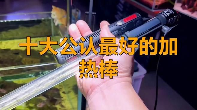 國內(nèi)最好的加熱棒品牌【十大公認最好的加熱棒,我是琉璃啊】