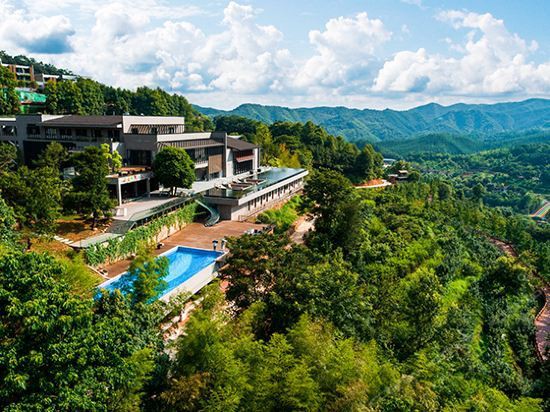 大余水族店【大余縣有哪些水族店】 大余水族店【大余縣有哪些水族店】 全國(guó)水族館企業(yè)名錄 第5張