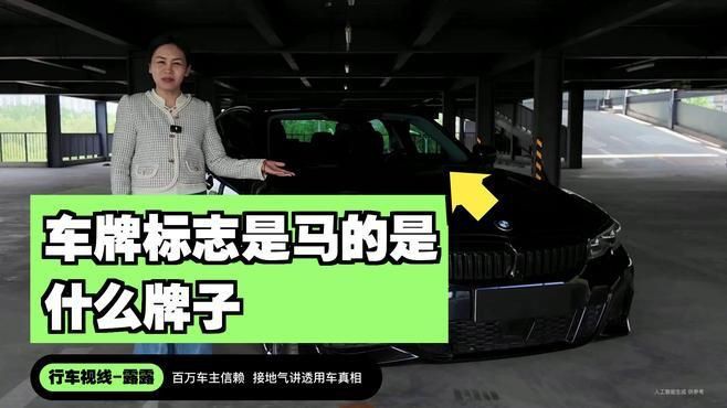 馬印牌是不是雜牌【關于“馬印牌是不是雜牌”這一問題】 馬印牌是不是雜牌【關于“馬印牌是不是雜牌”這一問題】 龍魚百科 第1張