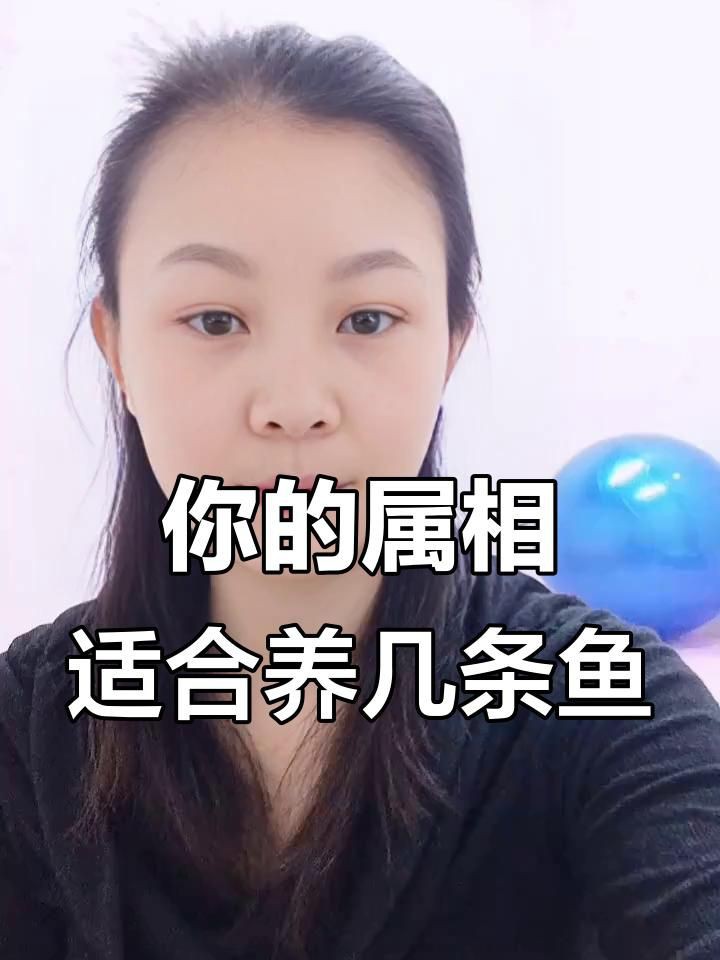 屬龍人養幾條魚最旺【《屬龍人養幾條魚最旺》在傳統文化與風水理念中】