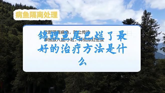 魚爛尾加鹽后多久見效？【魚爛尾加鹽后見效時間】 魚爛尾加鹽后多久見效？【魚爛尾加鹽后見效時間】 龍魚百科 第4張