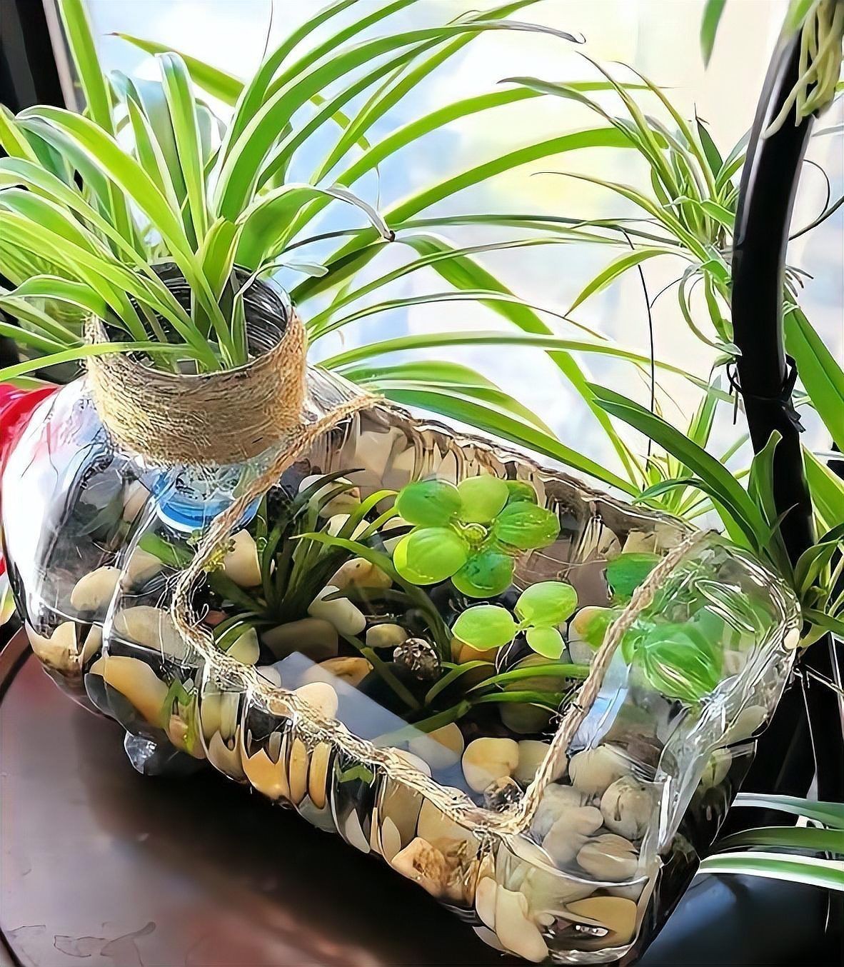 魚缸的裝飾物有哪些講究【《魚缸的裝飾物有哪些講究》在布置魚缸時，裝飾物的搭配大有門道】