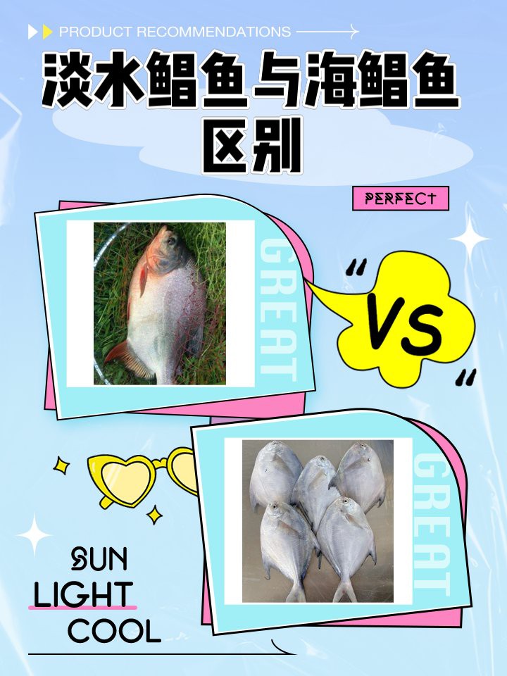淡水鯧魚與海鯧魚區(qū)別【淡水鯧魚與海水鯧魚的區(qū)別，淡水鯧魚和淡水鯧魚的區(qū)別】 淡水鯧魚與海鯧魚區(qū)別【淡水鯧魚與海水鯧魚的區(qū)別，淡水鯧魚和淡水鯧魚的區(qū)別】 龍魚論壇 第1張