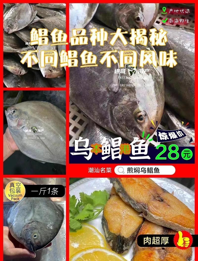 淡水鯧魚與海鯧魚區(qū)別【淡水鯧魚與海水鯧魚的區(qū)別，淡水鯧魚和淡水鯧魚的區(qū)別】 淡水鯧魚與海鯧魚區(qū)別【淡水鯧魚與海水鯧魚的區(qū)別，淡水鯧魚和淡水鯧魚的區(qū)別】 龍魚論壇 第2張