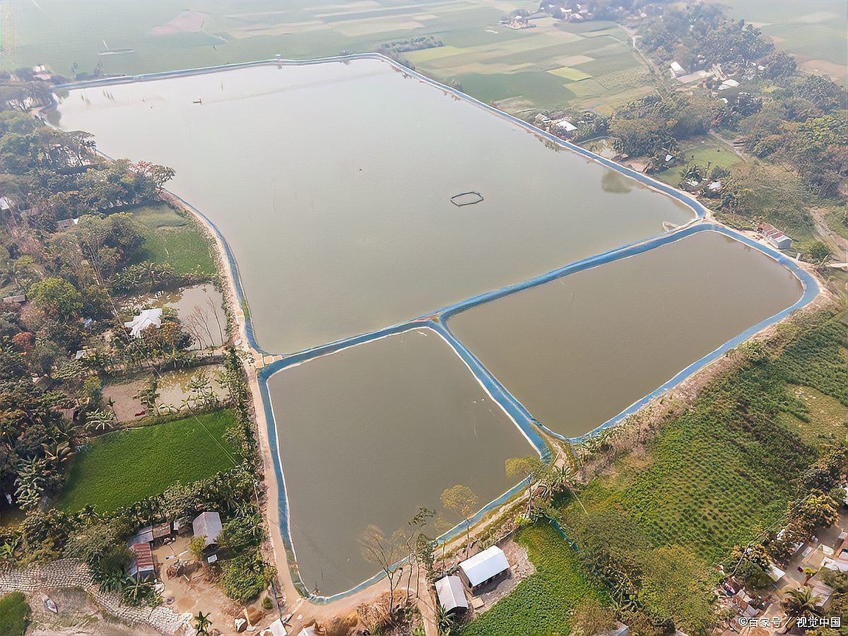 魚塘浮頭時應該如何緊急處理?【《魚塘浮頭時應該如何緊急處理?》】 龍魚百科 第5張 魚塘浮頭時應該如何緊急處理?【《魚塘浮頭時應該如何緊急處理?》】 魚塘浮頭時應該如何緊急處理?【《魚塘浮頭時應該如何緊急處理?》】 龍魚百科 第5張