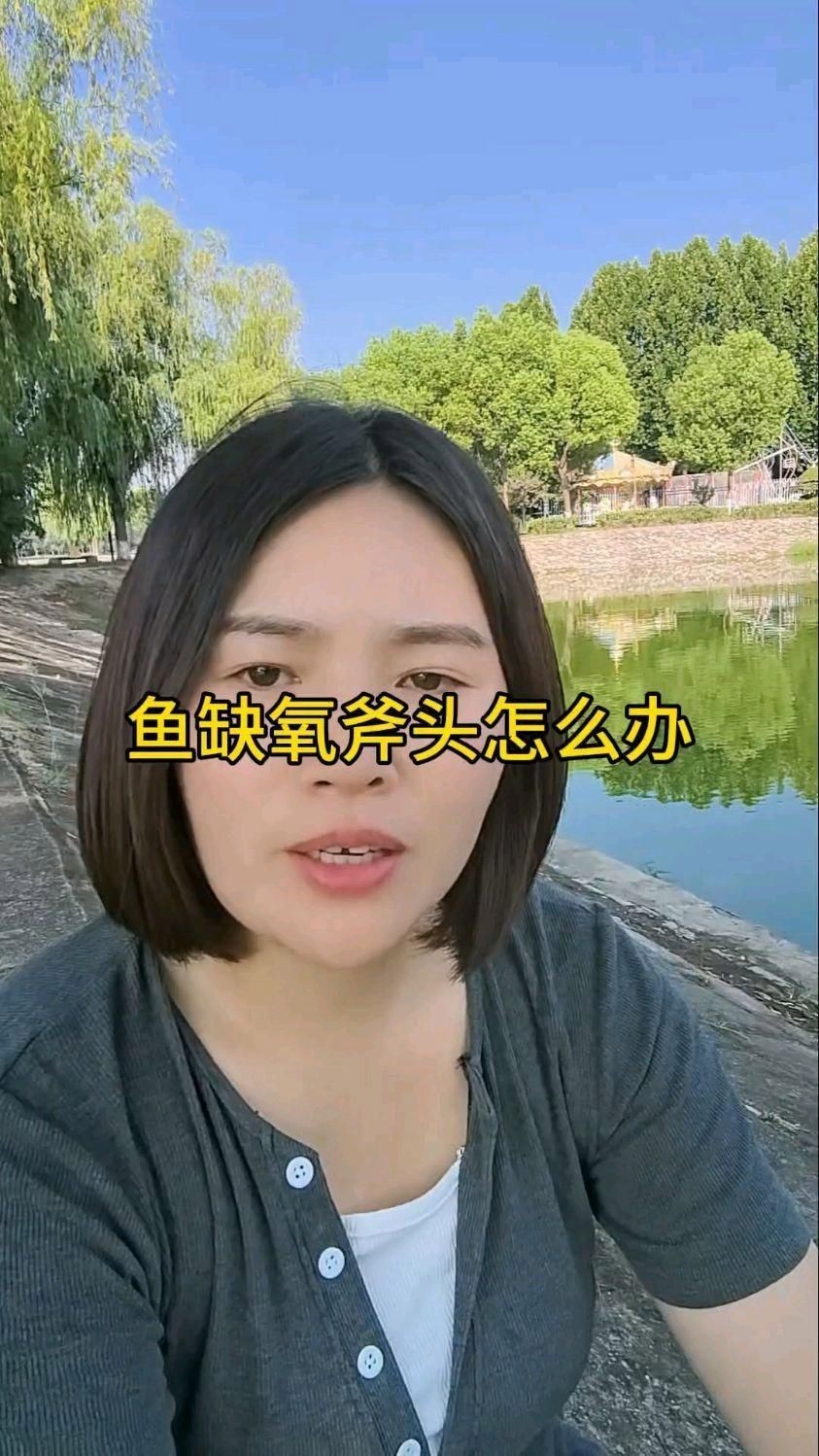 魚塘浮頭時應該如何緊急處理?【《魚塘浮頭時應該如何緊急處理?》】 龍魚百科 第3張 魚塘浮頭時應該如何緊急處理?【《魚塘浮頭時應該如何緊急處理?》】 魚塘浮頭時應該如何緊急處理?【《魚塘浮頭時應該如何緊急處理?》】 龍魚百科 第3張