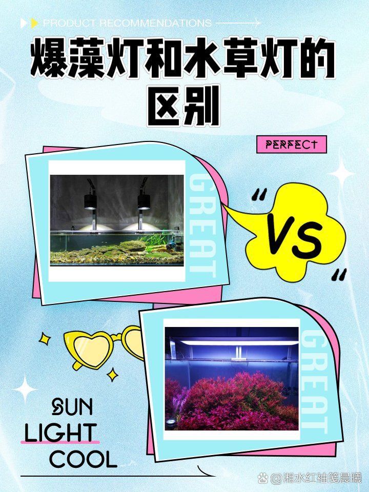 吉印水草燈爆藻燈【吉印水草燈與爆藻燈的科學(xué)應(yīng)用指南:吉印水草燈與爆藻燈的區(qū)別】