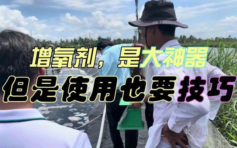 有哪些化學增氧劑可以使用？【化學增氧劑的使用與注意事項】