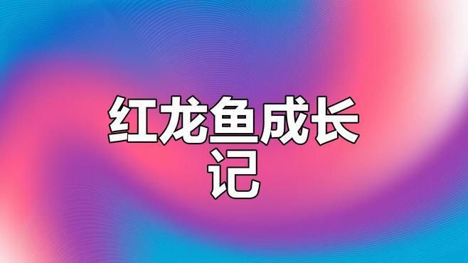 有沒有野生紅龍魚的視頻資源？【印尼紅龍魚的神秘起源與變色傳奇】