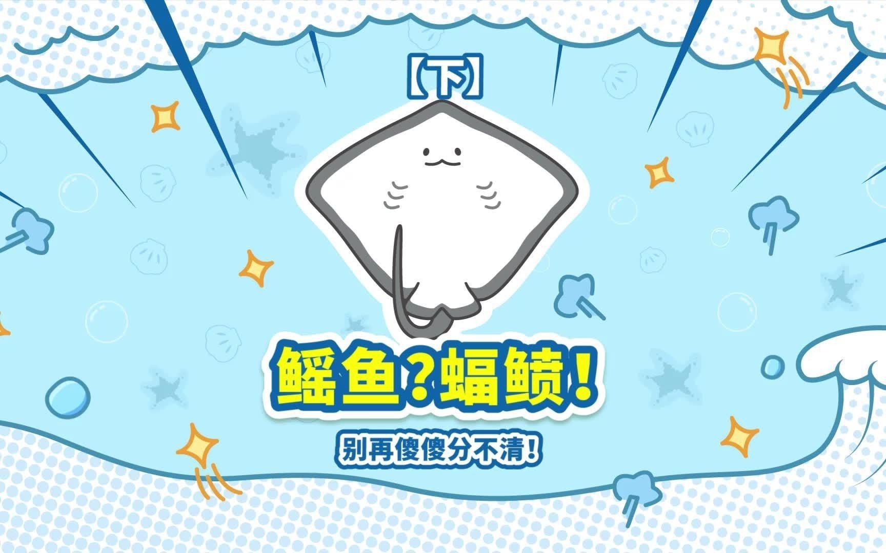 魔鬼魚是鰩魚還是蝠鲼【“魔鬼魚”是指誰【海洋護衛(wèi)隊】與魔鬼魚的區(qū)別】