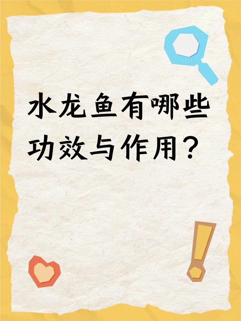 泗水龍魚為何要少吃【水龍魚有哪些功效與作用】