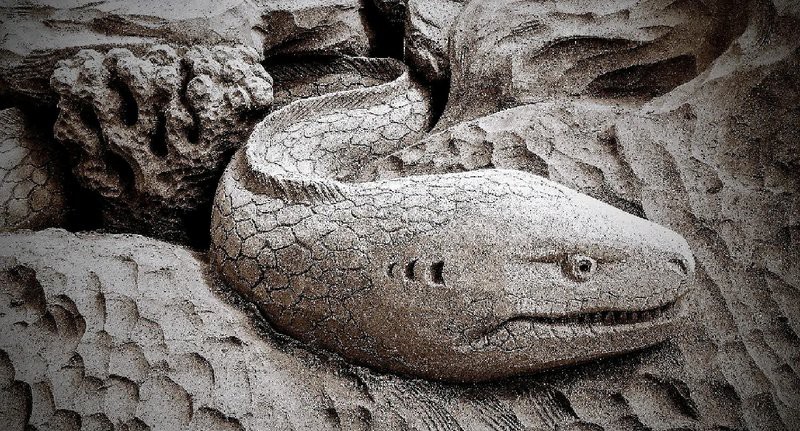 電鰻離了水還能放電嗎【“水中高壓線”電鰻是如何放電的】