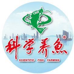 魚爛真菌和細菌圖片【魚體腐爛現象常由真菌和細菌共同作用引發】