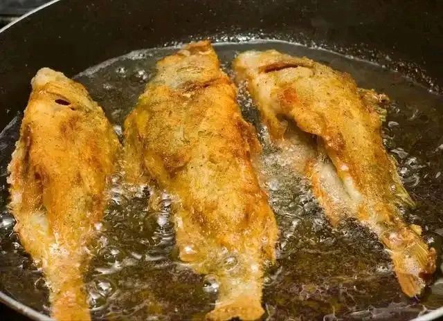 炮彈魚為什么不建議吃【關(guān)于炮彈魚的健康風(fēng)險】