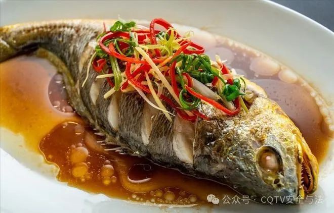 炮彈魚為什么不建議吃【關于炮彈魚的健康風險】 炮彈魚為什么不建議吃【關于炮彈魚的健康風險】 龍魚論壇 第5張