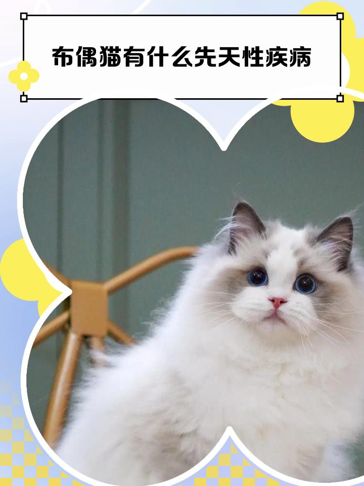 貓先天性疾病有哪些【貓先天性疾病有哪些貓先天性疾病】