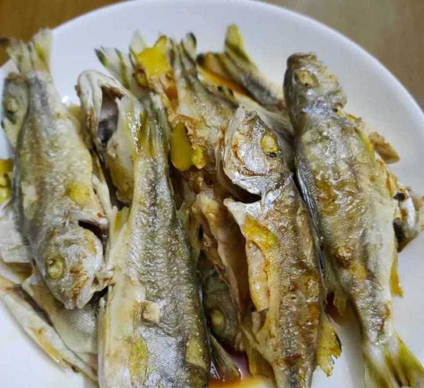 丁公魚圖片大全【“丁公魚圖片大全”】