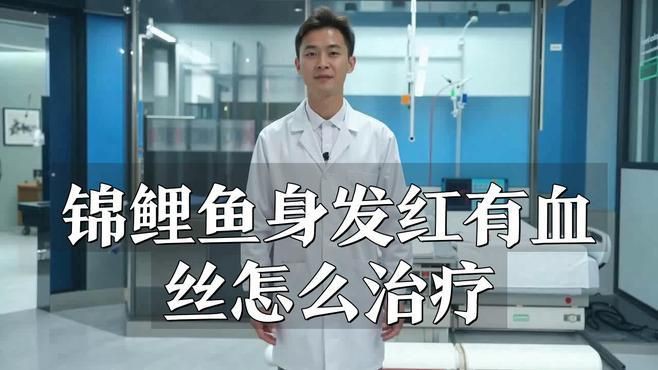 魚身上紅色淤血如何快速治療？【錦鯉魚身上有紅斑像出血了怎么辦治療芋泥啵啵飽脹箱】