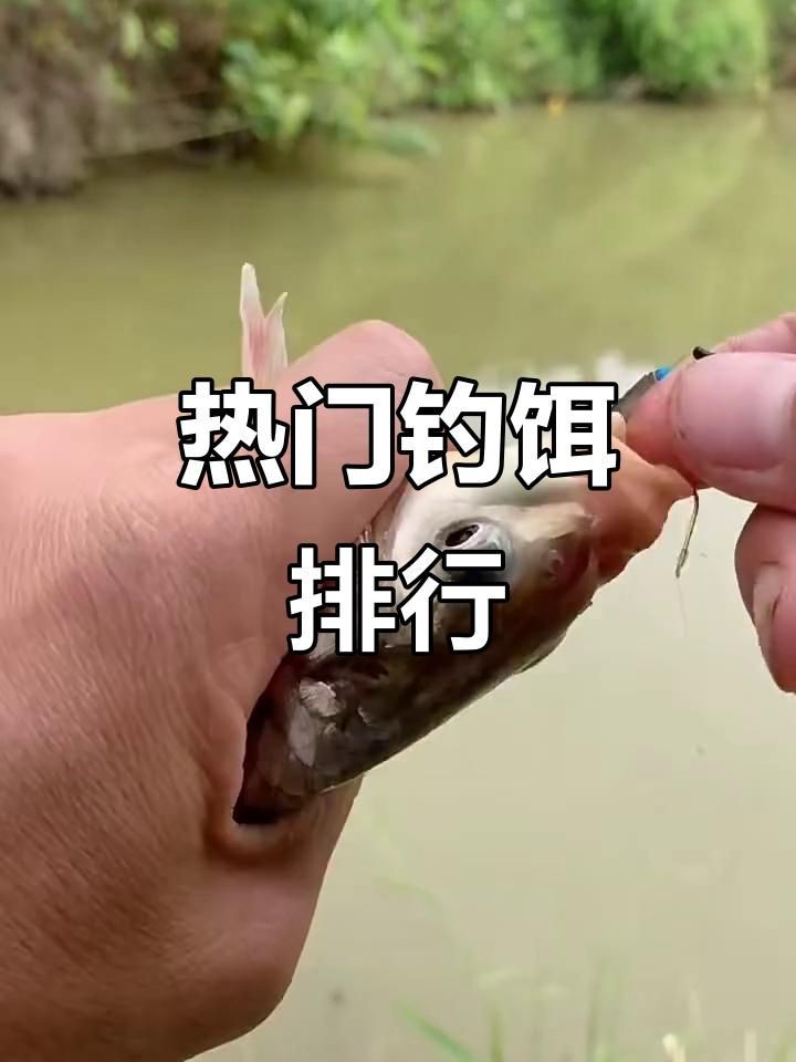 萬能餌料第一名【《萬能餌料第一名》劉志強大師的全能腥餌料為何那么火12元一包】