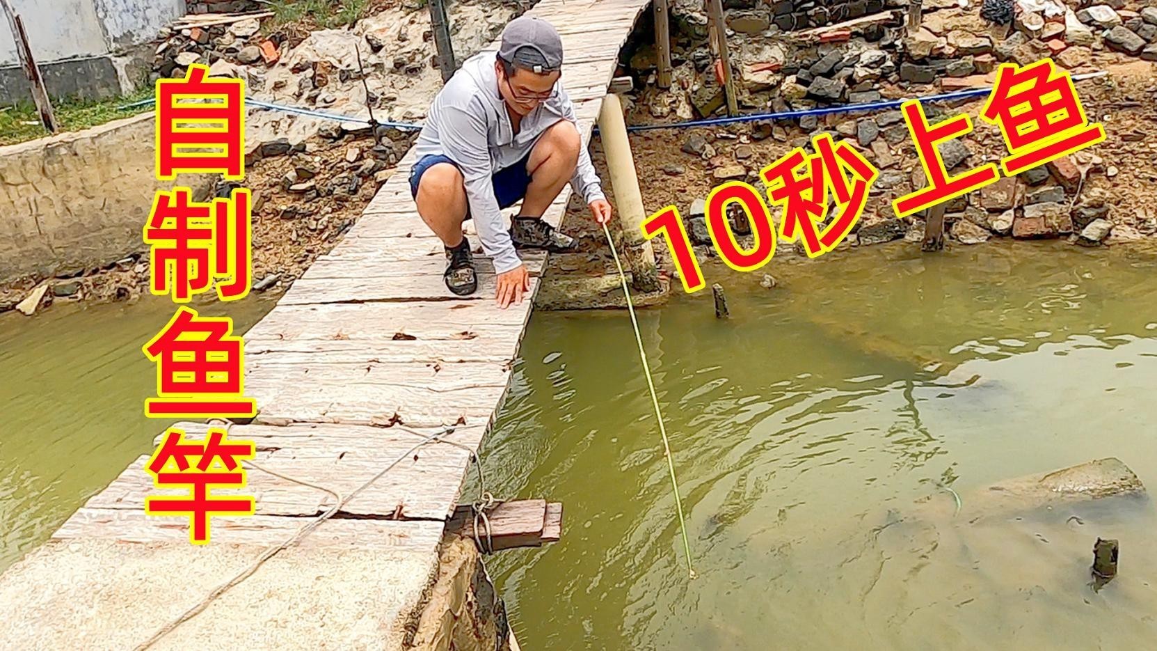 淡水蝦虎魚為何盡量少吃【淡水蝦虎魚盡量少吃】 淡水蝦虎魚為何盡量少吃【淡水蝦虎魚盡量少吃】 龍魚論壇 第5張