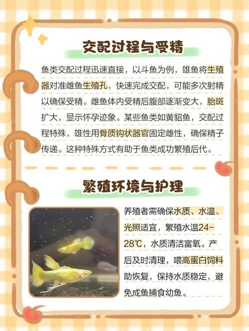 魚交尾原理示意圖【魚交尾原理示意圖生動展現了魚類繁殖過程中關鍵行為】