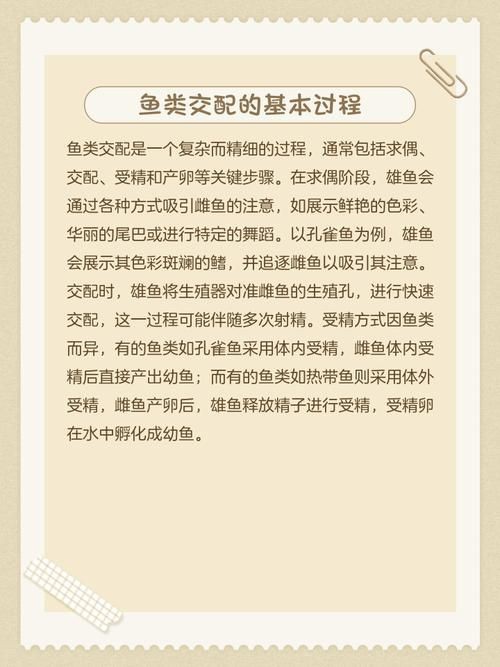 魚交尾原理示意圖【魚交尾原理示意圖生動展現了魚類繁殖過程中關鍵行為】