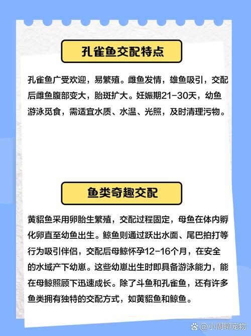 魚交尾原理示意圖【魚交尾原理示意圖生動展現了魚類繁殖過程中關鍵行為】