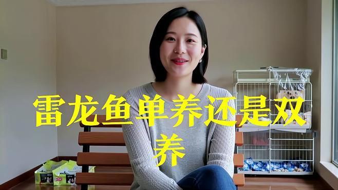 雷龍魚養(yǎng)一只還是一對【雷龍魚一缸能養(yǎng)幾條愛寵顧問】 雷龍魚養(yǎng)一只還是一對【雷龍魚一缸能養(yǎng)幾條愛寵顧問】 龍魚百科 第1張