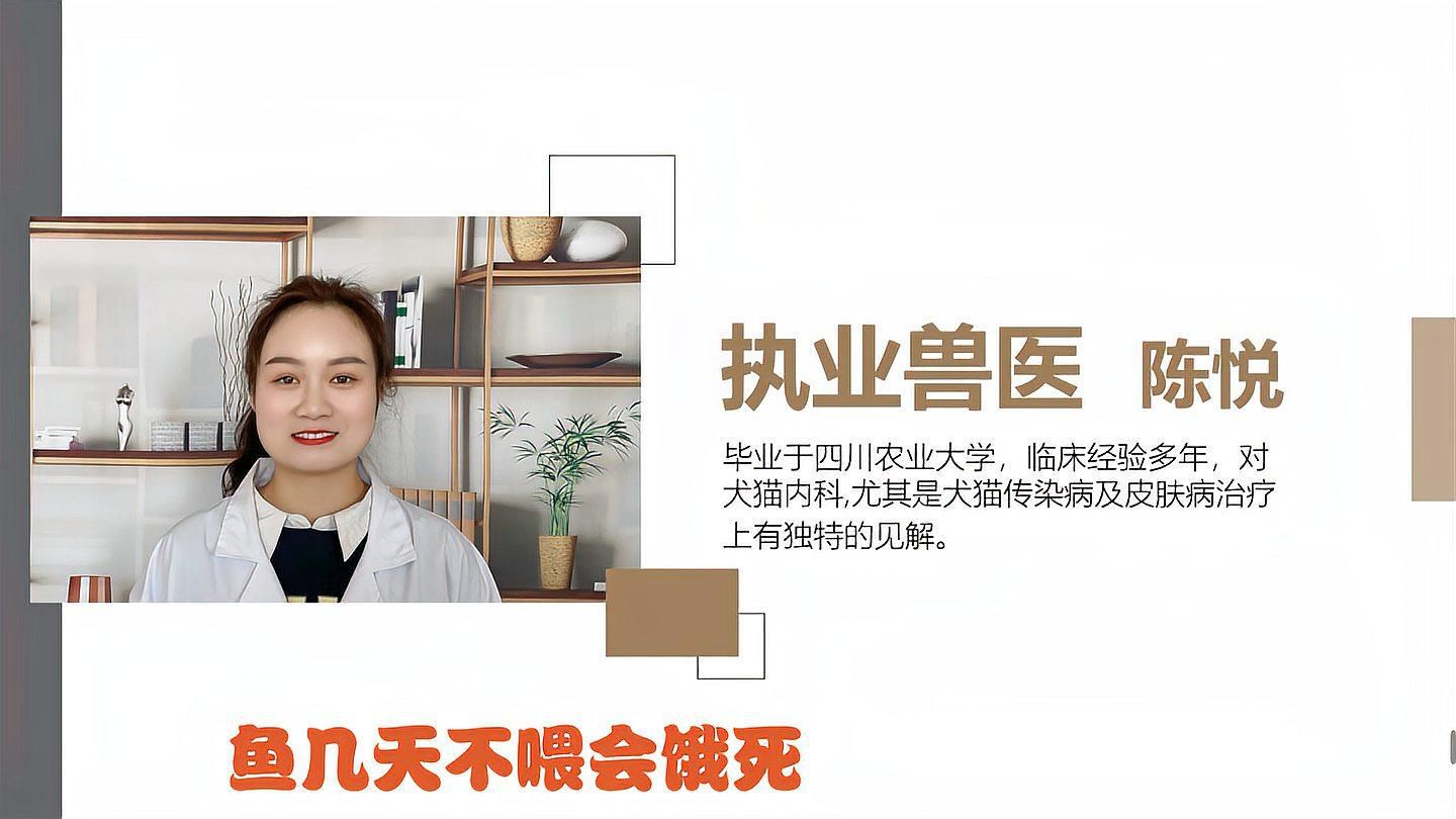 魚幾天不喂會餓死【《魚幾天不喂會餓死》不同種類的魚對饑餓的耐受程度存在差異】